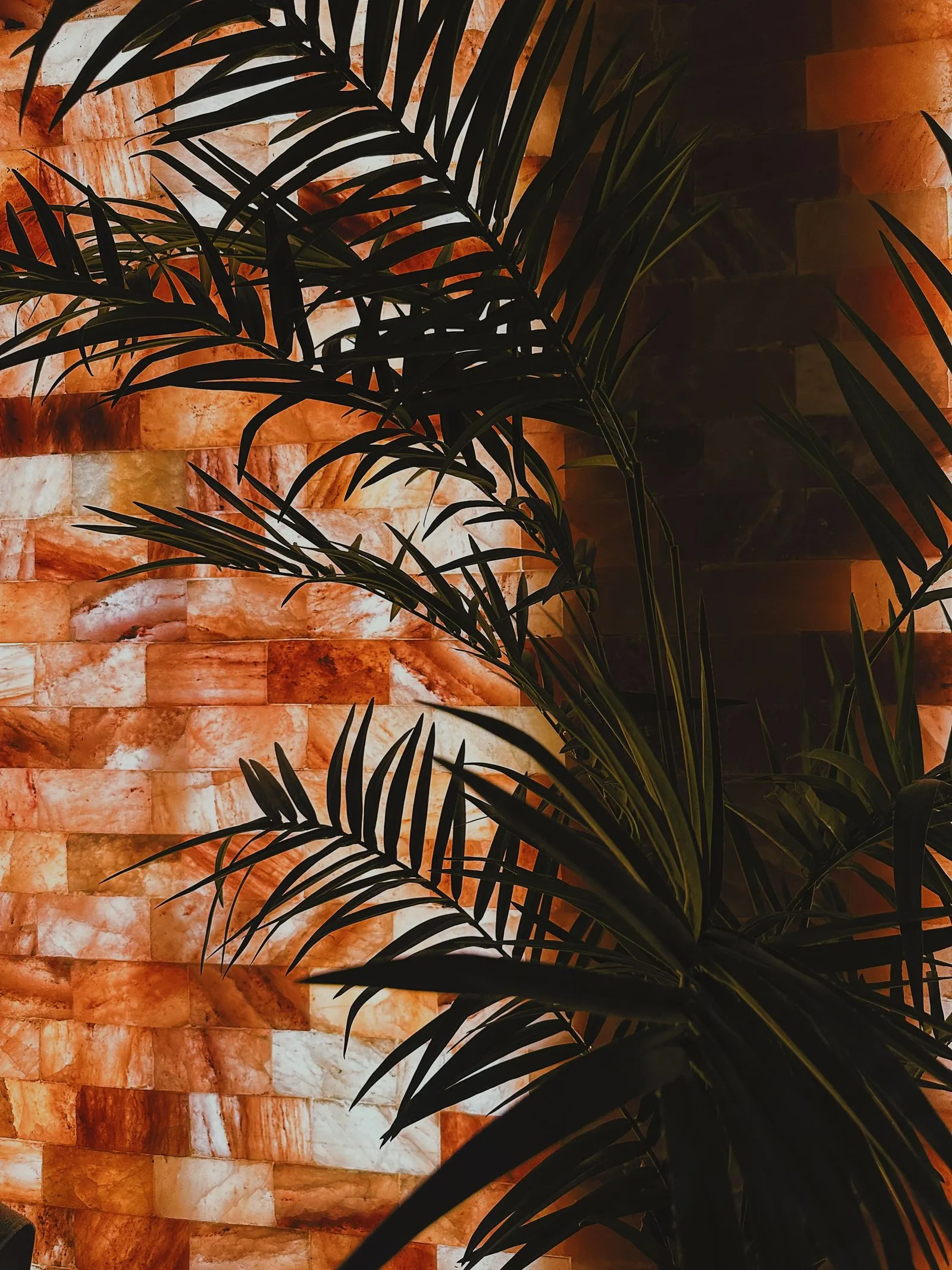Ambiente relajante con plantas naturales
